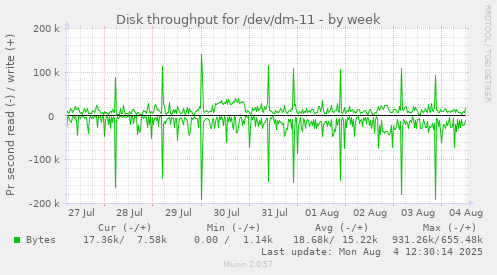 Disk throughput for /dev/dm-11