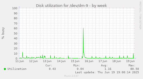 Disk utilization for /dev/dm-9