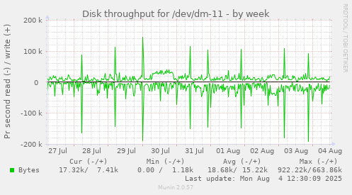 Disk throughput for /dev/dm-11